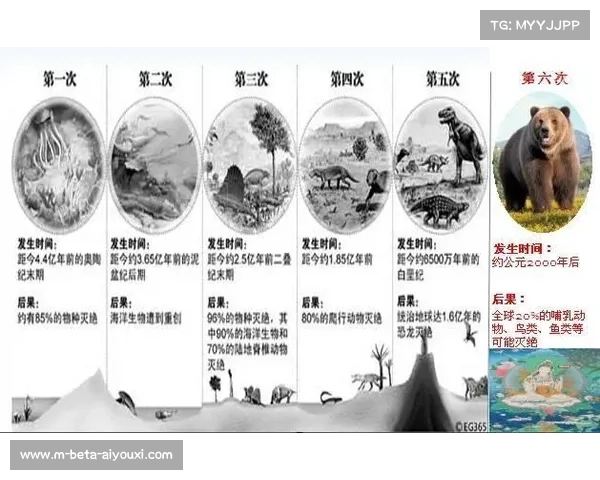 恩里克的战术笔记：从边缘教练到世界冠军背后的战略进化与思考